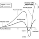 Image for article titled The History of the Uncanny Valley